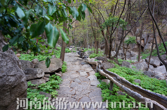 �����ж��������Ⱦ������[���B(y��ng)����&middot;���{�Ͼ���