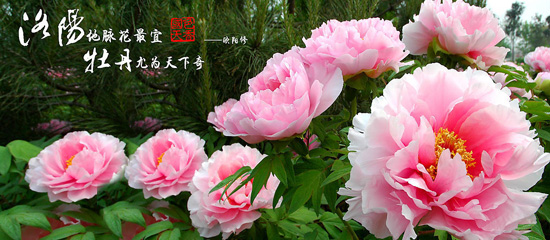 ���(y��ng)ĵ���p������ һ��ĵ����(l��i)�u