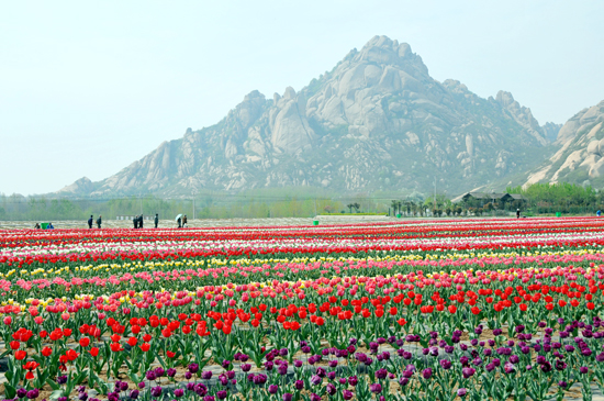 ����ɽɫ�@�ﶼ�� ����&ldquo;���ҹ���&rdquo;���ɽ