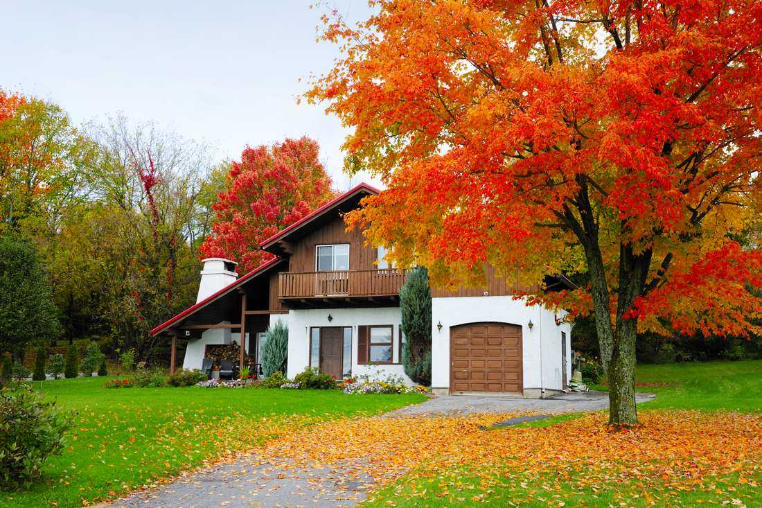 �Ҹ��l(f��)�ԃ�(n��i)�� ȫ��ʮ�����Ҹ������L(f��ng)��