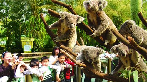 ����������һ ������}�H���λ������x��