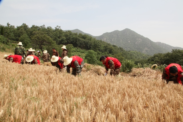 �v�R�������ξַe�O�M��־Ը�ߎ�����ɽȺ������С��