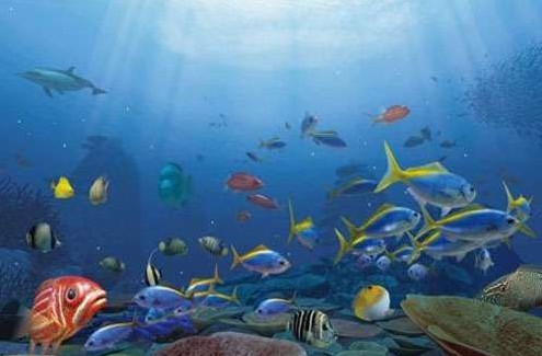 �_��|���O�غ����^