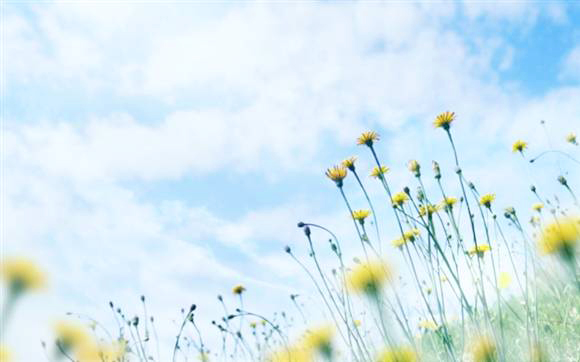 ������������(d��ng)�r ����Ŀ�ĵ����]