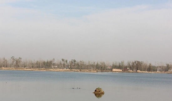 ��Ĳ���Q��