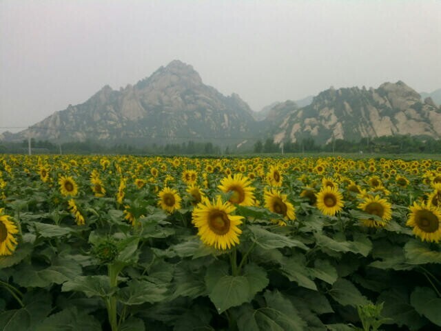 һ���ν�ɫ����