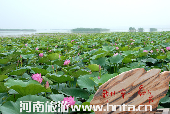 �ڰˌ��Ї�&bull;��������p���»��(d��ng)����(d��ng)