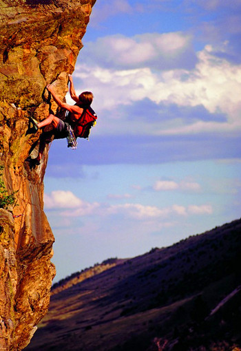 �ͱ��ϵİ���