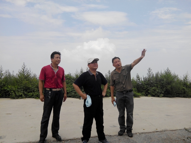 武市長調(diào)研