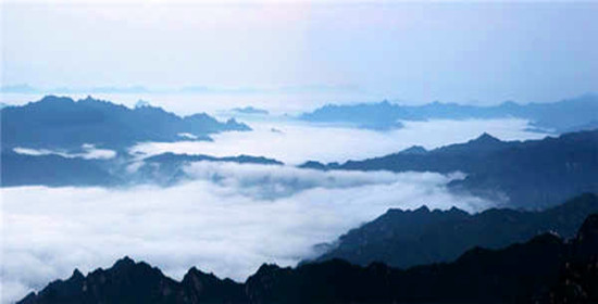 ����������ƺ�