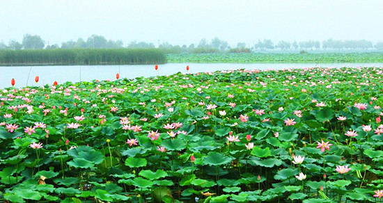 ��ꖺɻ���(ji��)