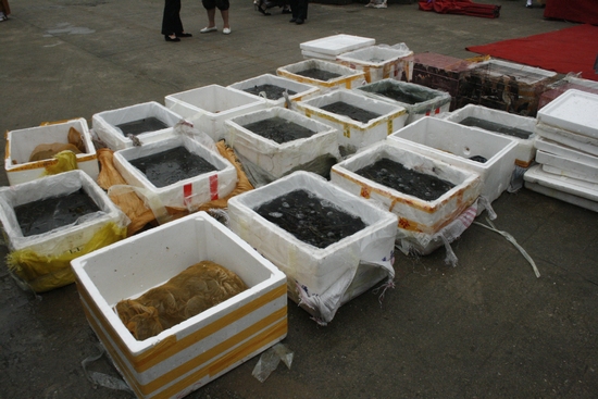 駐馬店市旅游局舉辦“回歸自然 呵護生命”放生活動