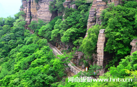 ���|(zh��)����