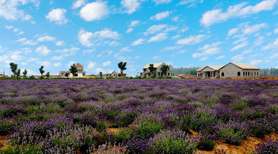 ���ɽ޹�²��f�@