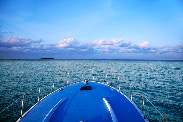 �������ήa(ch��n)�I(y��)������߶�