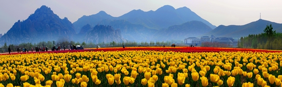 2014���v�R�����ι���ʮ�����c