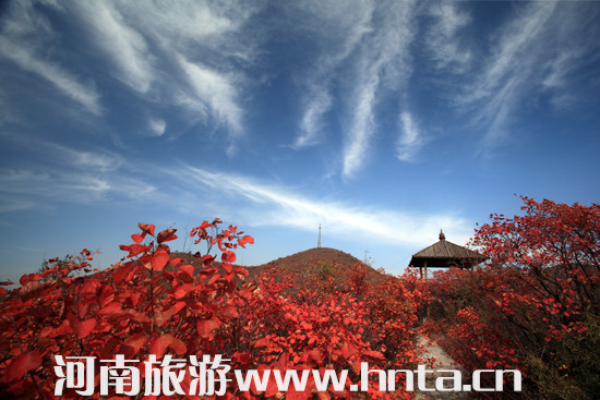 2015�꽹���t�~��(ji��)�_Ļ