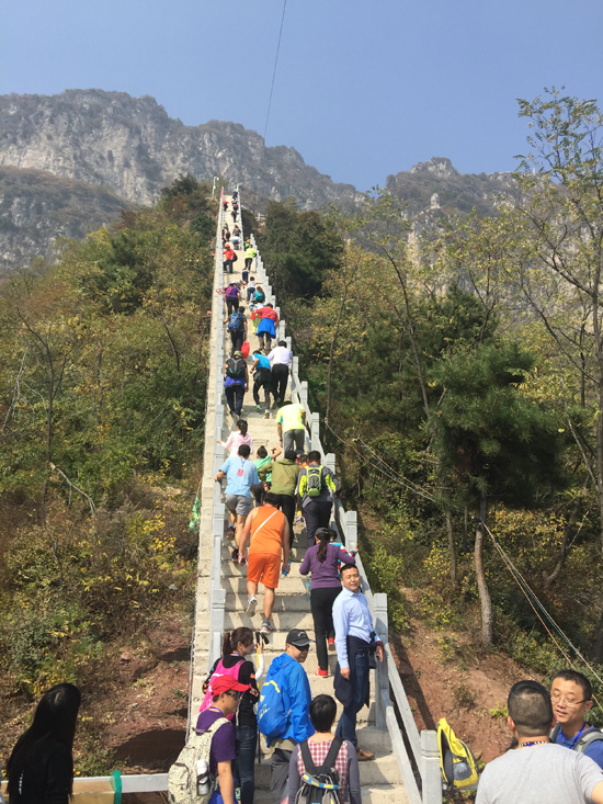 �����I�ɽ��ɽͬ��