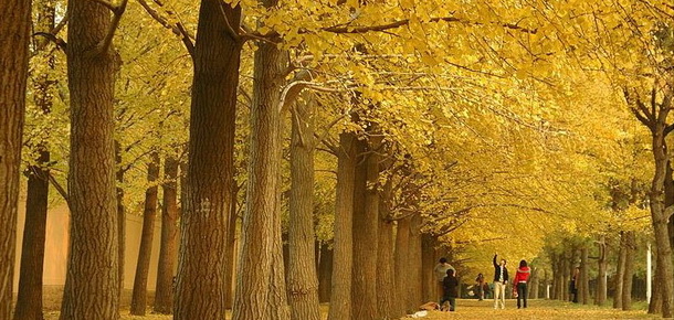 ǧ���y���� �A��M���w ��ĩ��һ��ȥ���y�ӿɺã�