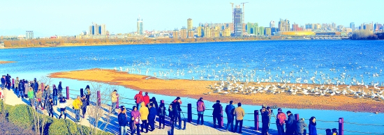 �����S�����Ύ��ϵ��S�����ξ�·&mdash;&mdash;2015���T�{�����Z���μ�ʢ�󆢄� 