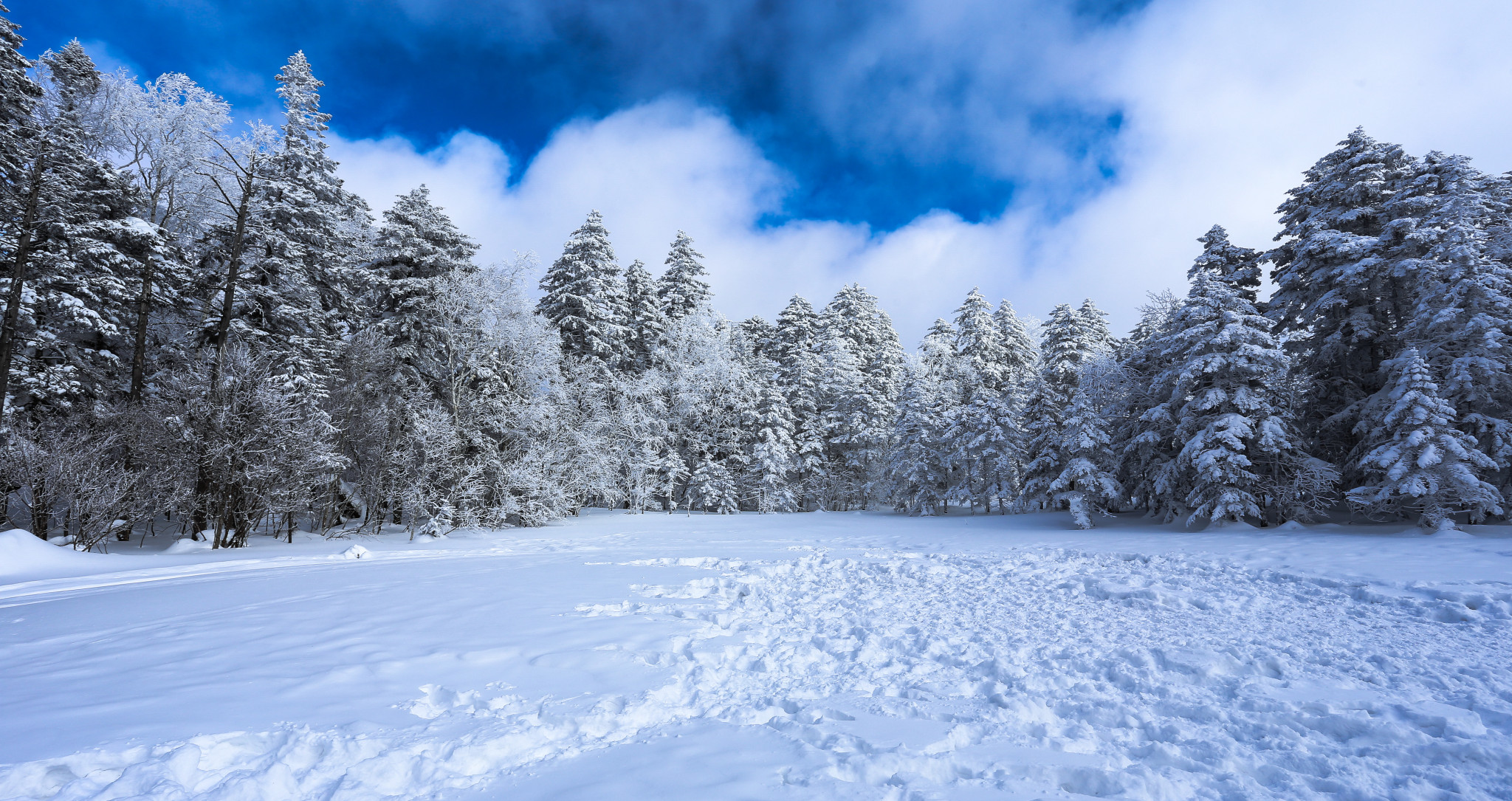 һ���Ǳ̺��{��һ���Ǳ���ѩ��