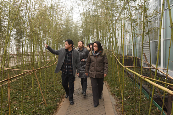 �S�����I(l��ng)��(d��o)�{(di��o)��۳��2016���\���Ļ����ήa(ch��n)�I(y��)���c�Ŀ