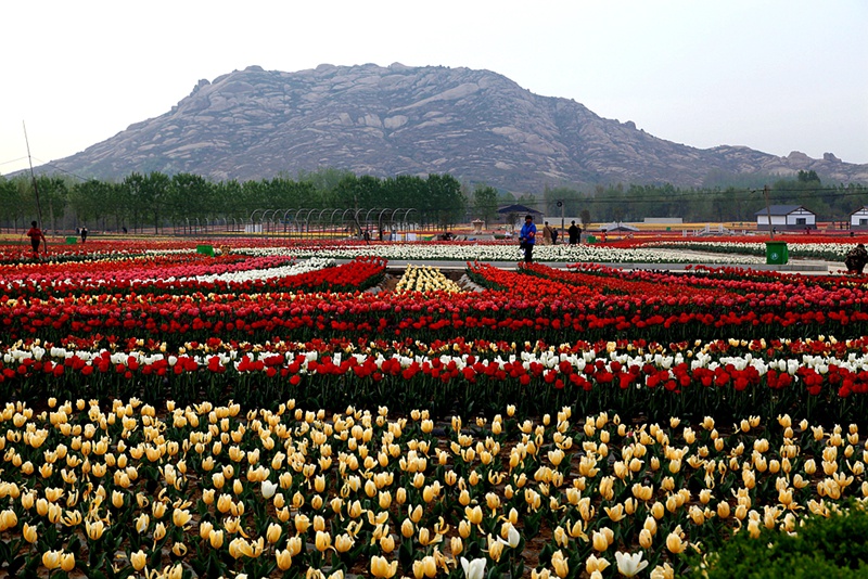 ���ɽ��ȪС�(zh��n)�������(gu��)�H�Ļ���(ji��)�_(k��i)Ļ