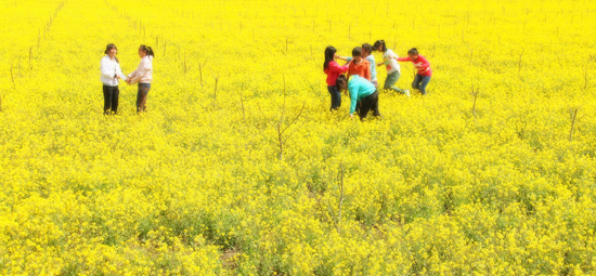 ��ꖙ质7���^(q��)ĵ���������g���׶��ο����M��