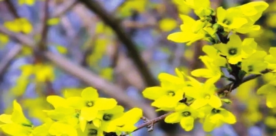 ����o��������