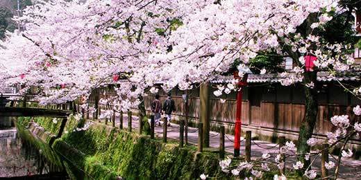 �Ї��ο��Ƹ����p�����Οᳱ