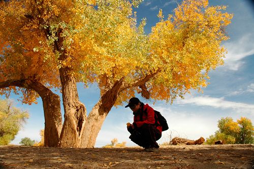 ����z·���۹���