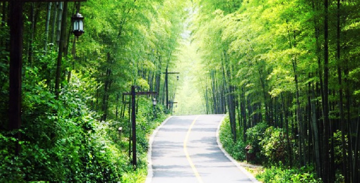 2014��ȫ��ɭ�������ο����_(d��)9.1�|�˴�