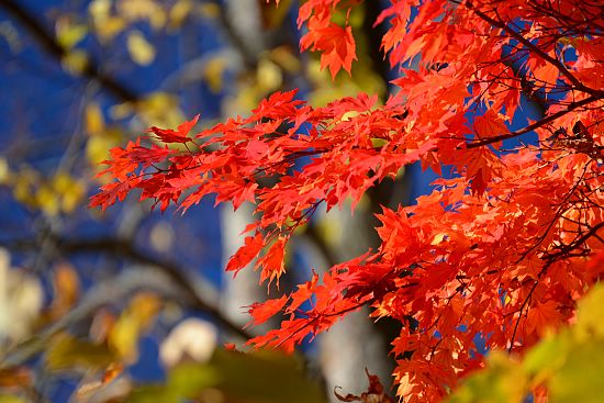 ʮһ����߅��Ҳ�ܾܺ���