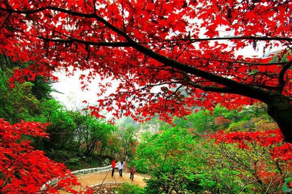 ���˷���(gu��)�c����(gu��)�c������ �Ͻ�Xӭ��(l��i)���θ߷�