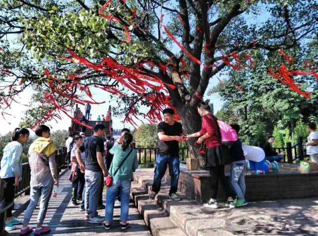 ʮһ�@��(g��)���^(q��)�����˶�߀���D ��(ji��n)ֱ����