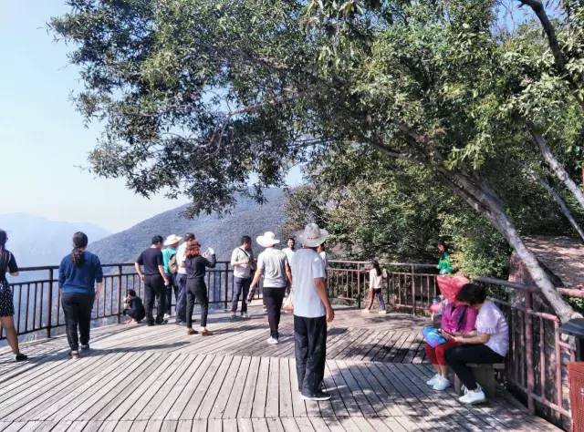 ʮһ�@��(g��)���^(q��)�����˶�߀���D ��(ji��n)ֱ����