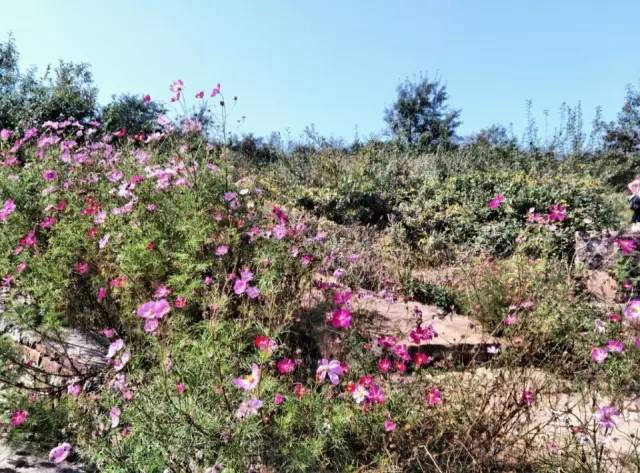 ʮһ�@��(g��)���^(q��)�����˶�߀���D ��(ji��n)ֱ����