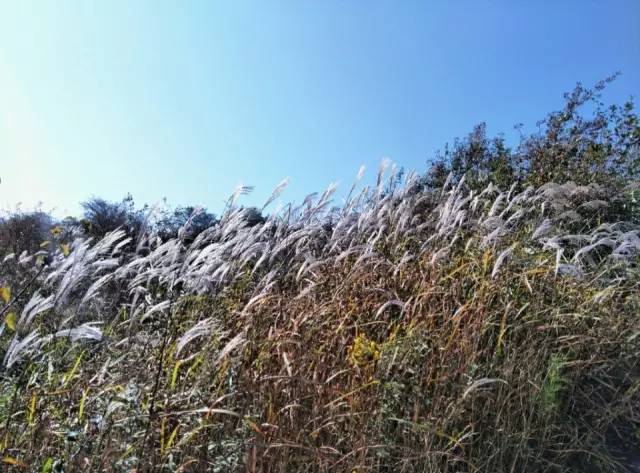 ʮһ�@��(g��)���^(q��)�����˶�߀���D ��(ji��n)ֱ����