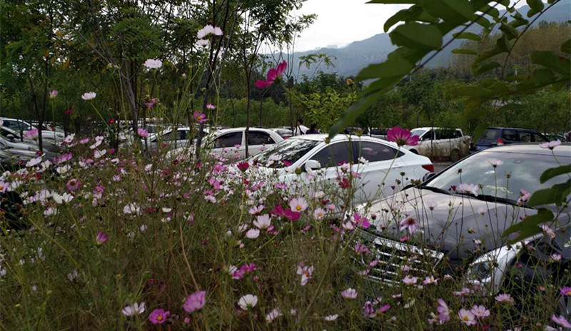 ���c���g Ρ���I�ɽ�����@����(n��i)���ο��c(di��n)ٝ