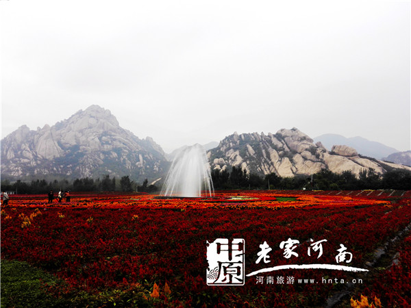 ���ϰˆ�λ�͂�(g��)�˵���ȫ��(gu��)&ldquo;ʮһ&rdquo;����&ldquo;�t��&rdquo;