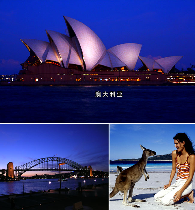 �Ĵ������ú����������ھ���� ���L���ṩ����