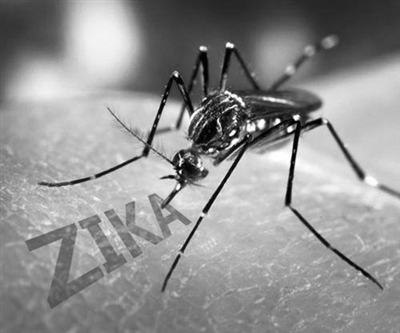 կ���������؄�(chu��ng)�������ΘI(y��) �ն��ȇ��ӏ��ڰ��z��