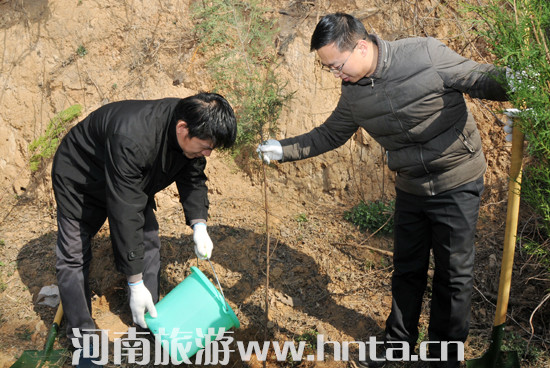 �Ҿַe�O�����x��(w��)ֲ��(sh��)���ֻ��(d��ng)