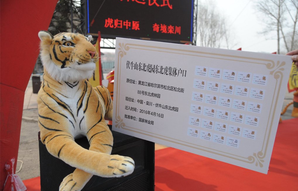 �滢���£�29ֻ��ϡ�ϻ�����ꖙ质����