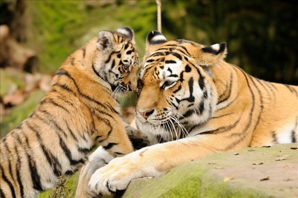 ʷ��������ξ�·��188Ԫ=���R̶+���@+���轻ͨ+���