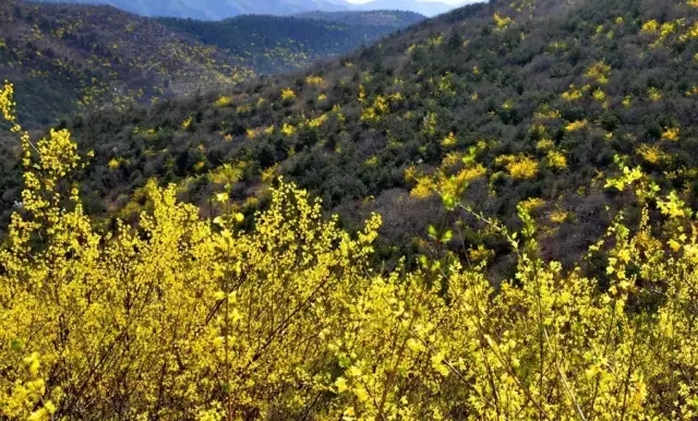 ̤���p����������������������ӽӴ����ل�(chu��ng)�¸ߣ�