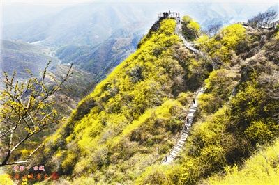 ����С�L�� ��ꖲ��־��^(q��)ӭ������(ji��)���һ��(g��)�ο͸߷�