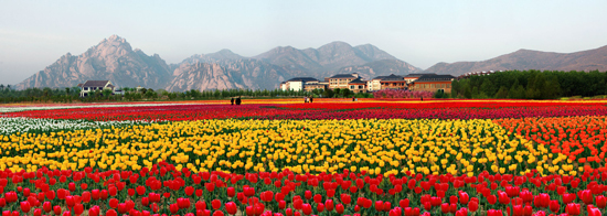 �v�R�꣺�۽��������� �����l(f��)չ���E