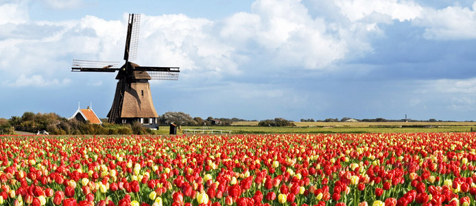 ���m���C�Ō���5�� ��������W���� 