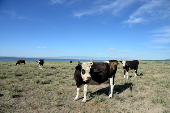 ��Ҋ�������L(f��ng)��